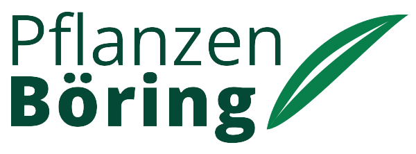 Pflanzen Böring
