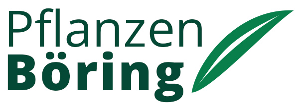 Zur Startseite gehen